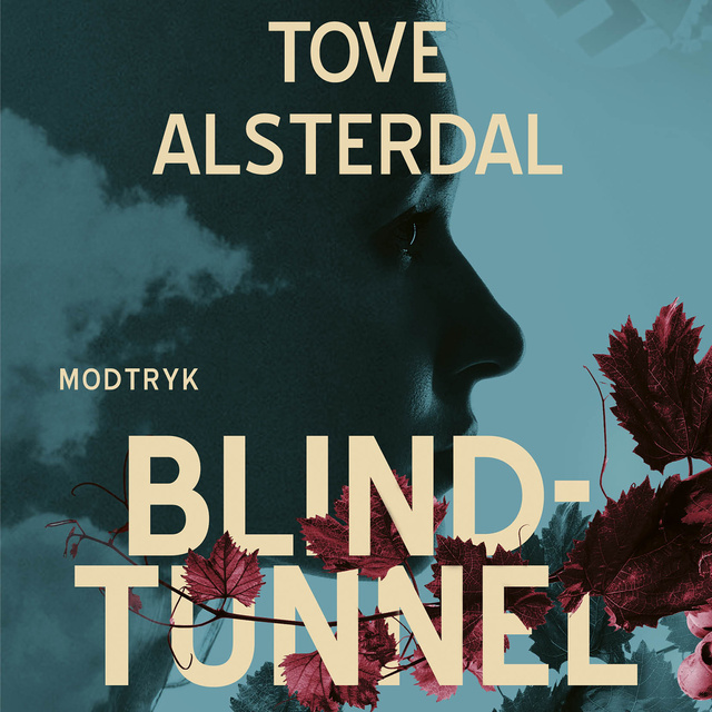 Tove Alsterdal - Blindtunnel