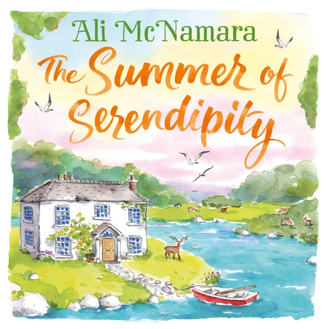 Ali McNamara - The Summer of Serendipity