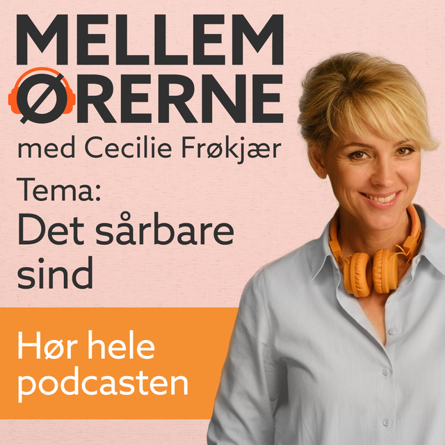 Cecilie Frøkjær - Mellem ørerne 5 – Det sårbare sind