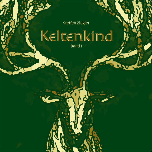 Steffen Ziegler - Keltenkind - Band 1