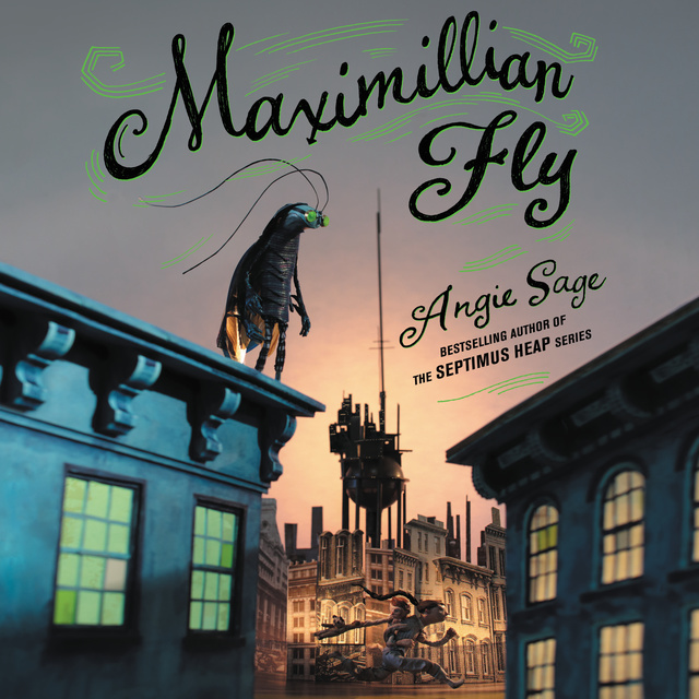 Angie Sage - Maximillian Fly