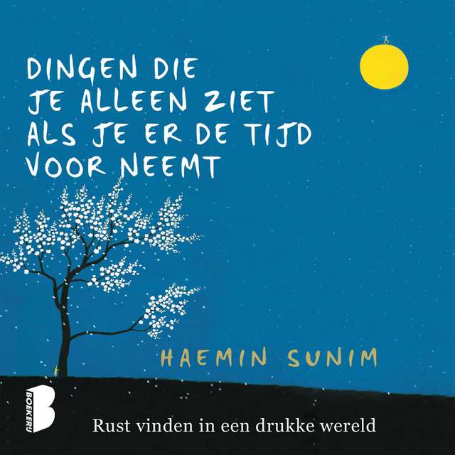 Haemin Sunim - Dingen die je alleen ziet als je er de tijd voor neemt: Rust vinden in een drukke wereld: Rust vinden in een drukke wereld