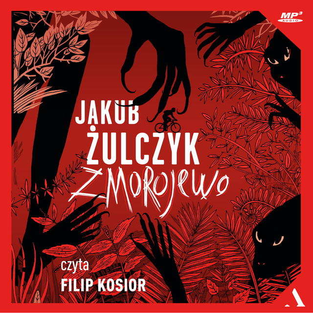 Jakub Żulczyk - Zmorojewo
