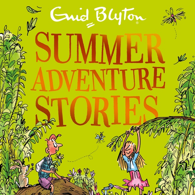 Enid Blyton - Summer Adventure Stories