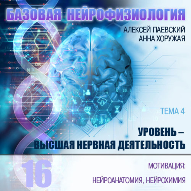 Анна Хоружая, Алексей Паевский - Мотивация: нейроанатомия, нейрохимия.