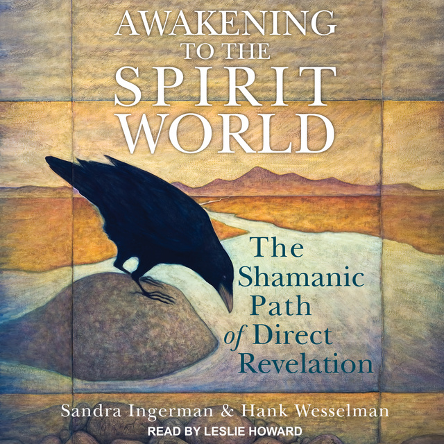 Sandra Ingerman, Hank Wesselman - Awakening to the Spirit World: The Shamanic Path of Direct Revelation