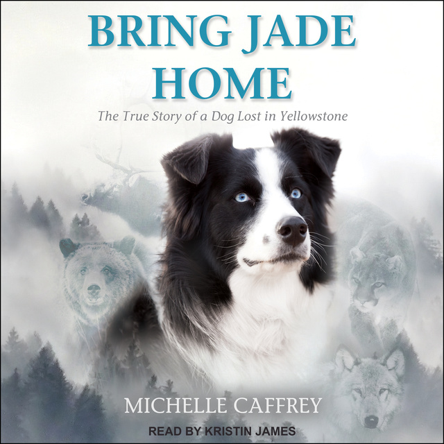 Michelle Caffrey - Bring Jade Home: The True Story of a Dog Lost in Yellowstone