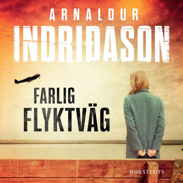 Arnaldur Indriðason - Farlig flyktväg
