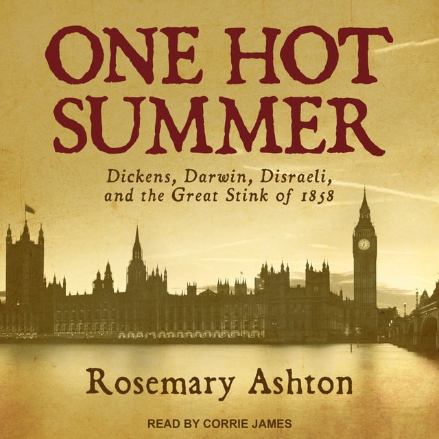 Rosemary Ashton - One Hot Summer