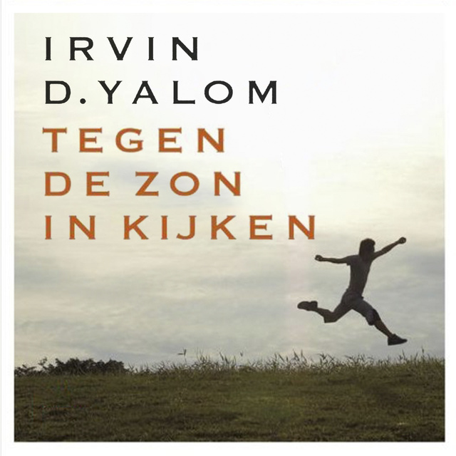Irvin D. Yalom - Tegen de zon in kijken