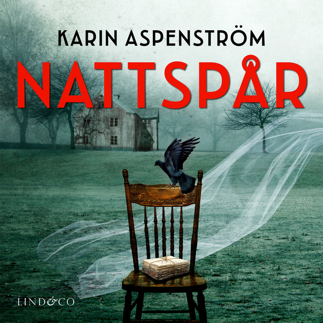 Karin Aspenström - Nattspår
