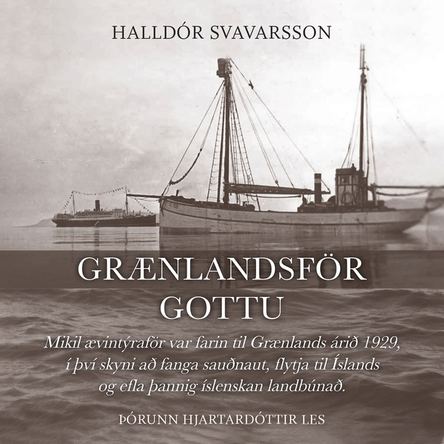 Halldór Svavarsson - Grænlandsför Gottu
