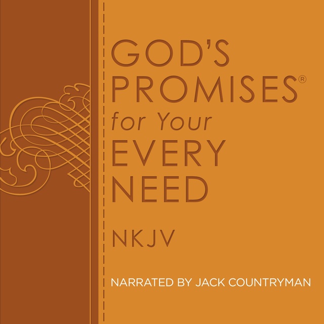 Thomas Nelson - God's Promises for Your Every Need