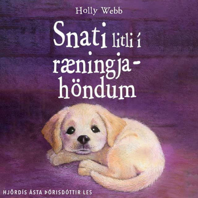 Holly Webb - Snati litli í ræningjahöndum