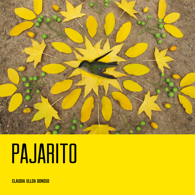 Pajarito - Luisterboek - Claudia Ulloa - Storytel