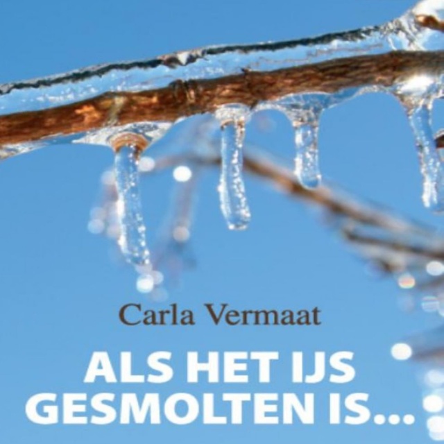 Carla Vermaat - Als het ijs gesmolten is: Liefdesroman