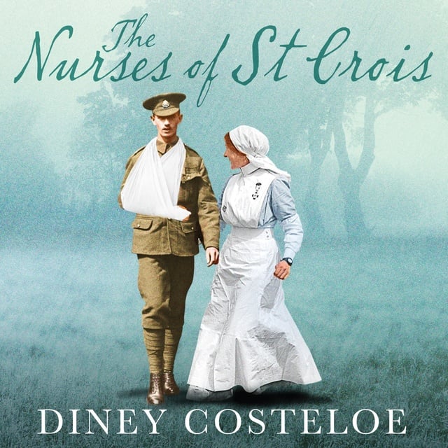 Diney Costeloe - The Nurses of St Croix