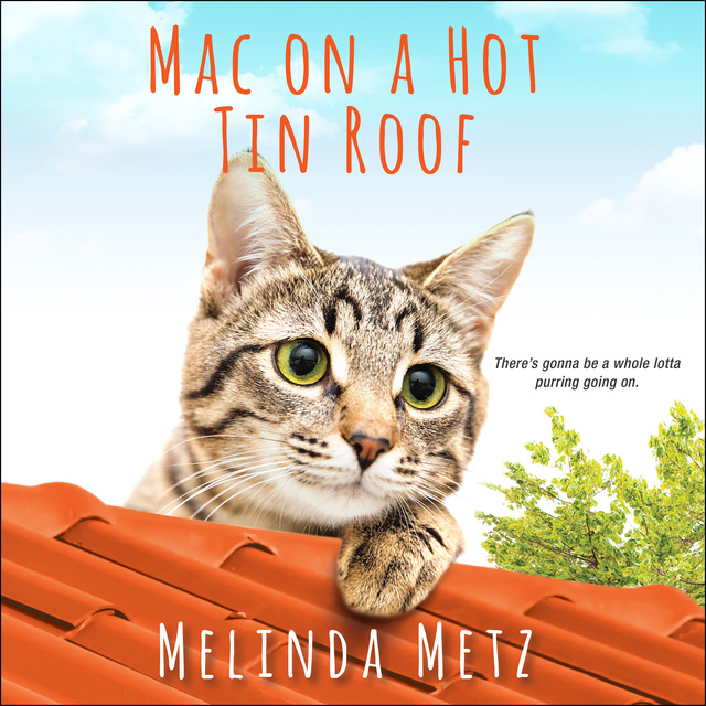 Melinda Metz - Mac on a Hot Tin Roof