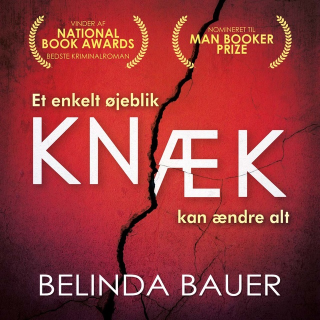 Belinda Bauer - Knæk