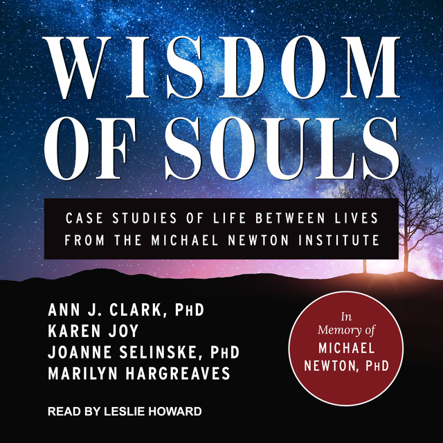 Ann J. Clark, Marilyn Hargreaves, Karen Joy, Joanne Selinske - Wisdom of Souls: Case Studies of Life Between Lives From The Michael Newton Institute