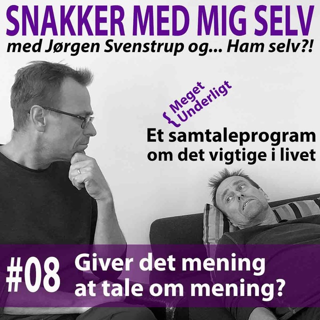Jørgen Svenstrup - Giver det mening at tale om mening?