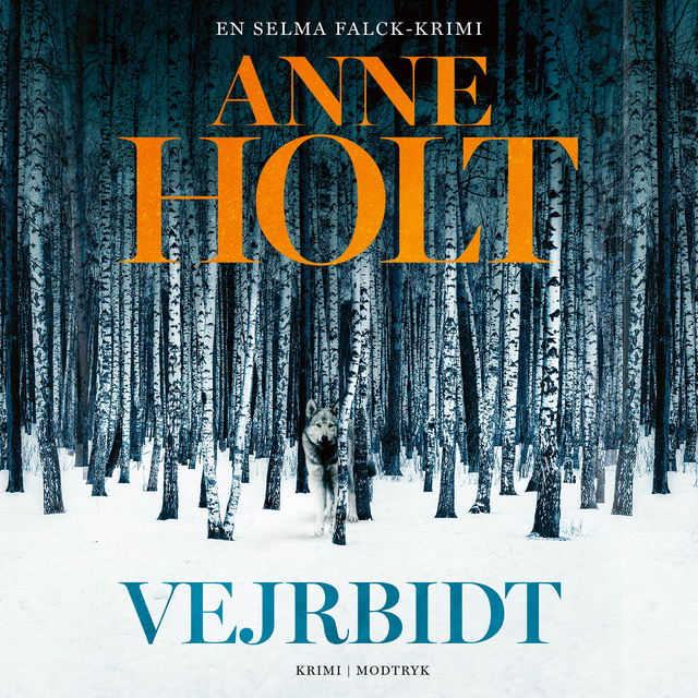 Anne Holt - Vejrbidt