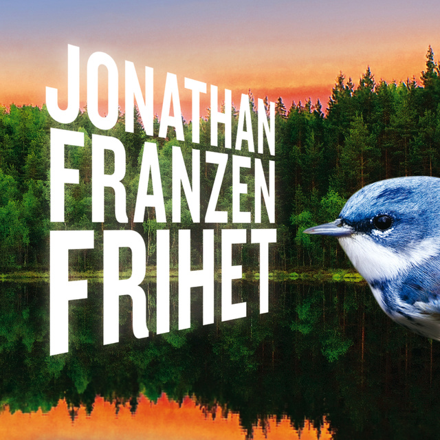 Jonathan Franzen - Frihet