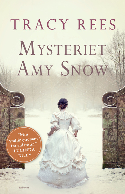 Tracy Rees - Mysteriet Amy Snow