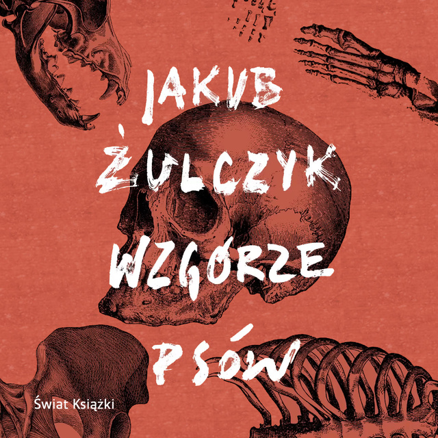 Jakub Żulczyk - Wzgórze psów