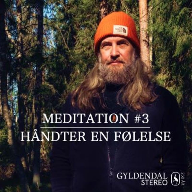 Jesper Westmark - Håndter En Følelse: Guidede meditationer med Jesper Westmark