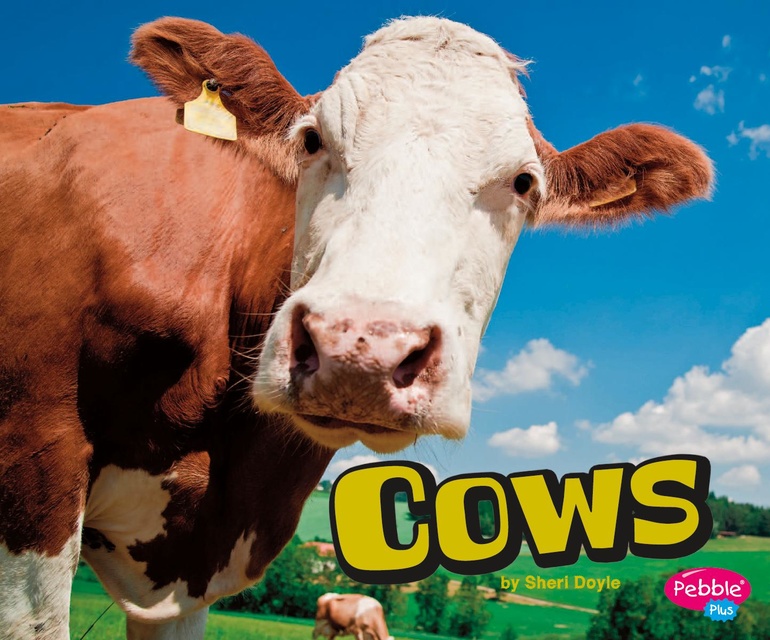 Sheri Doyle - Cows