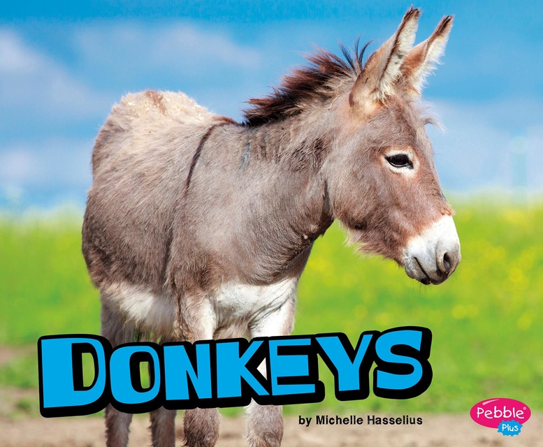 Michelle Hasselius - Donkeys