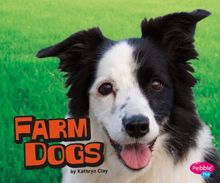 Kathryn Clay - Farm Dogs