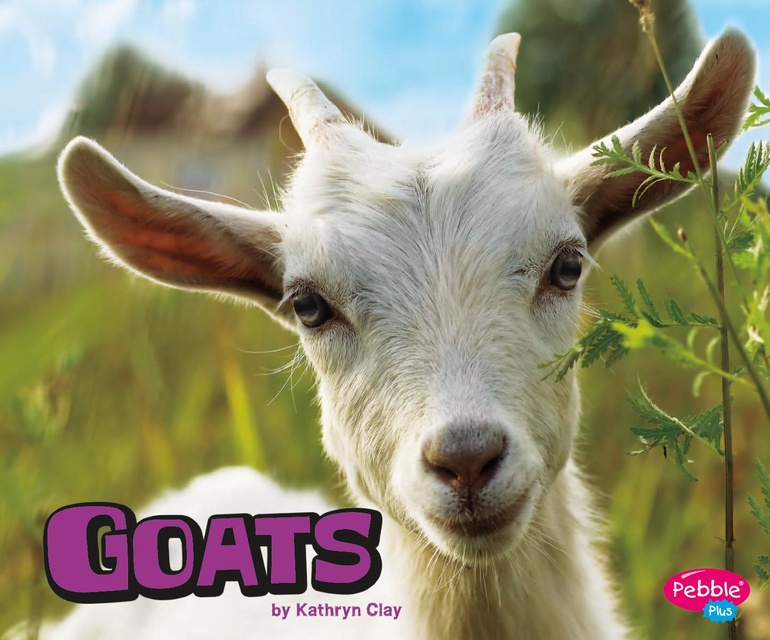 Kathryn Clay - Goats