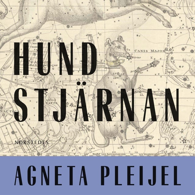 Agneta Pleijel - Hundstjärnan
