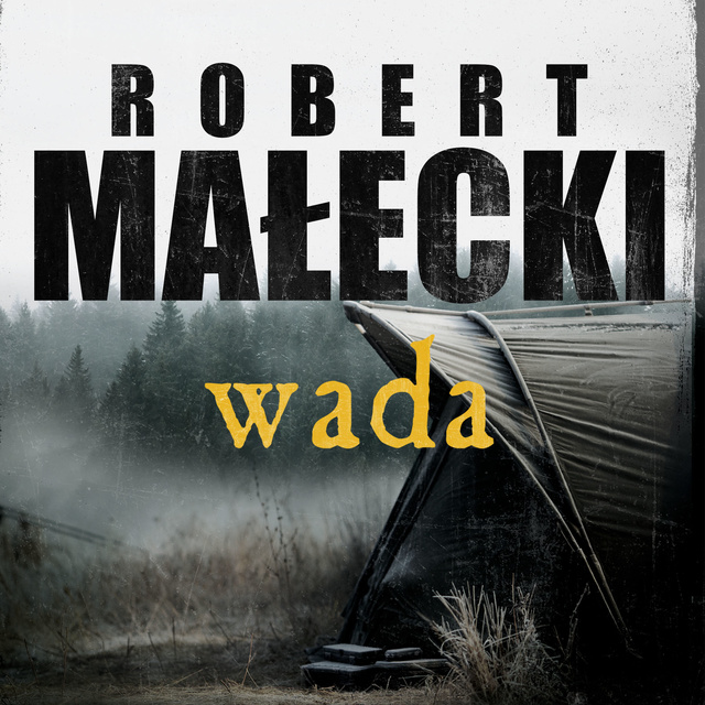 Robert Małecki - Wada