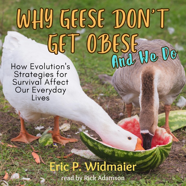 Eric Widmaier - Why Geese Don't Get Obese (And We Do)