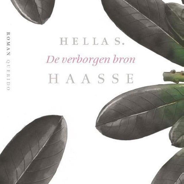 Hella Haasse - De verborgen bron