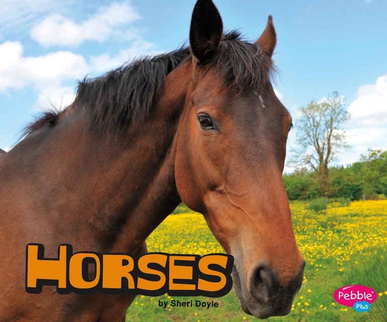 Sheri Doyle - Horses