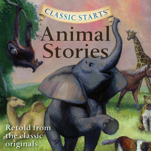 Diane Namm - Animal Stories