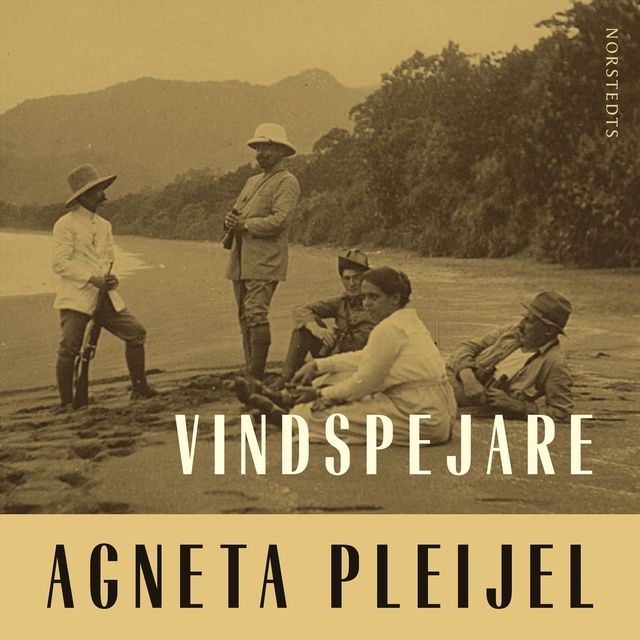 Agneta Pleijel - Vindspejare: boken om Abel målaren