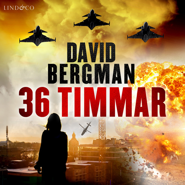 David Bergman - 36 timmar