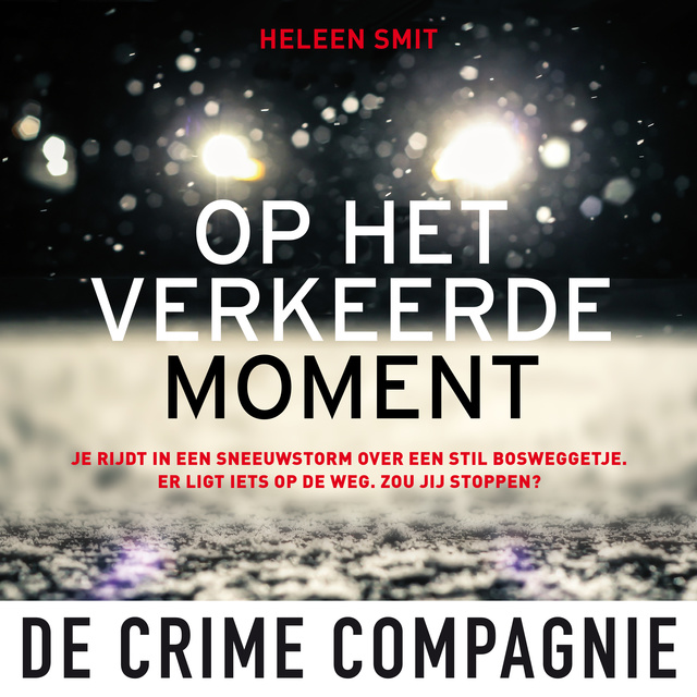 Heleen Smit - Op het verkeerde moment