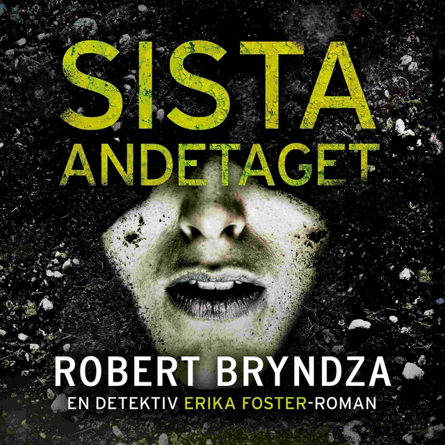Robert Bryndza - Sista andetaget