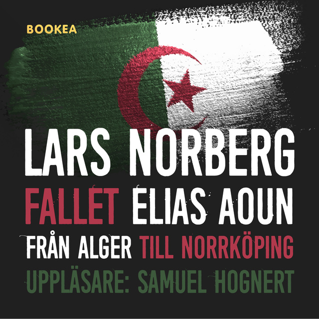 Lars Norberg - Fallet Elias Aoun