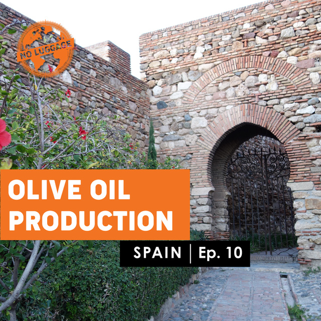 Billyana Trayanova - Olive Oil Production