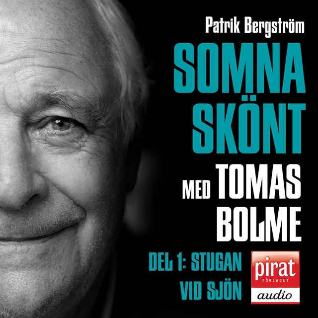 Patrik Bergström - SOMNA SKÖNT Stugan vid sjön