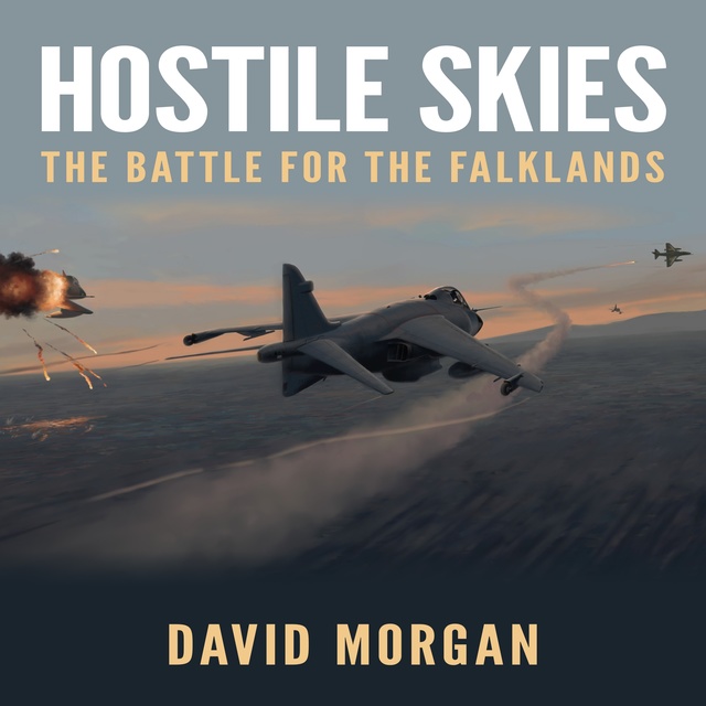David Morgan - Hostile Skies: The Battle for the Falklands