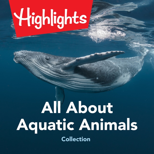 All About Aquatic Animals Collection - Audiobook - Highlights for Children,  Valerie Houston - Storytel
