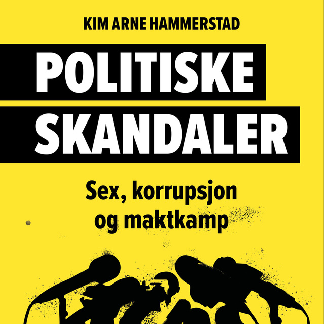 Kim Arne Hammerstad - Politiske skandaler